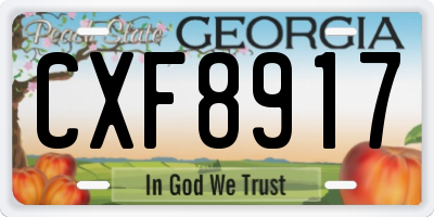 GA license plate CXF8917