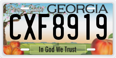 GA license plate CXF8919