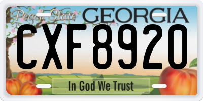 GA license plate CXF8920
