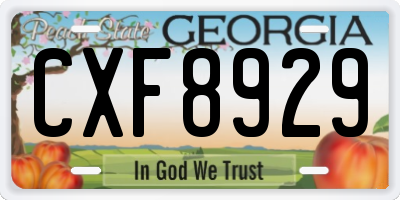 GA license plate CXF8929