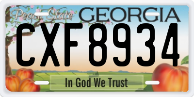 GA license plate CXF8934