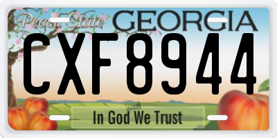 GA license plate CXF8944