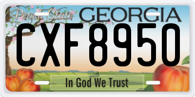 GA license plate CXF8950
