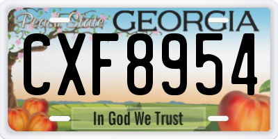 GA license plate CXF8954