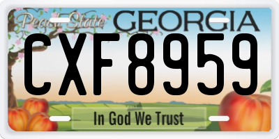 GA license plate CXF8959
