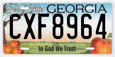 GA license plate CXF8964