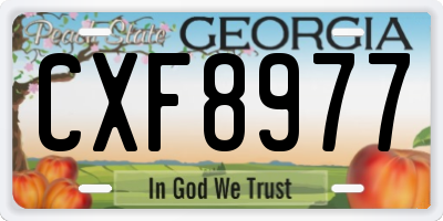 GA license plate CXF8977
