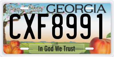 GA license plate CXF8991