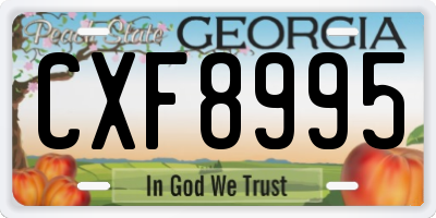 GA license plate CXF8995