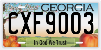 GA license plate CXF9003