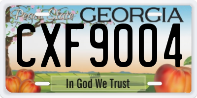 GA license plate CXF9004