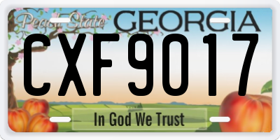 GA license plate CXF9017