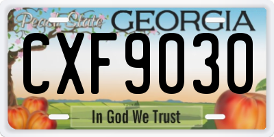 GA license plate CXF9030