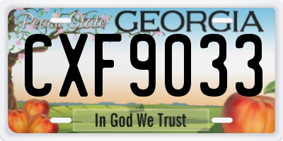 GA license plate CXF9033