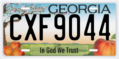 GA license plate CXF9044