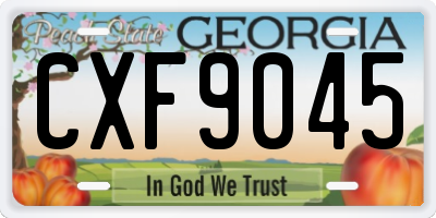 GA license plate CXF9045