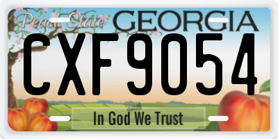 GA license plate CXF9054