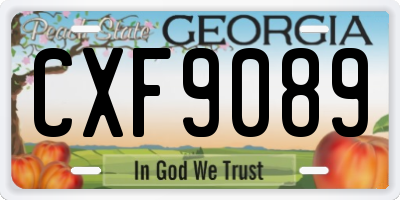 GA license plate CXF9089