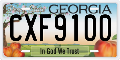 GA license plate CXF9100