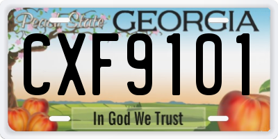 GA license plate CXF9101