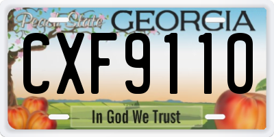 GA license plate CXF9110