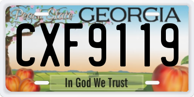 GA license plate CXF9119
