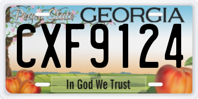 GA license plate CXF9124