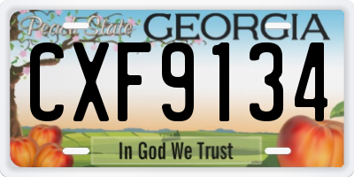 GA license plate CXF9134