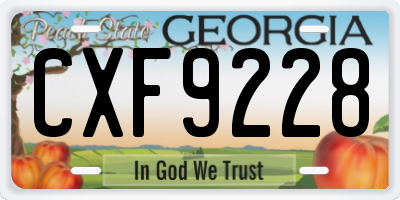 GA license plate CXF9228