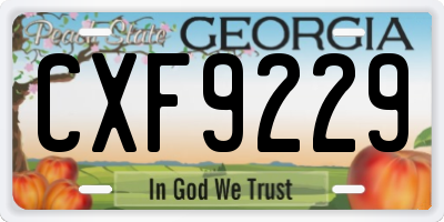 GA license plate CXF9229