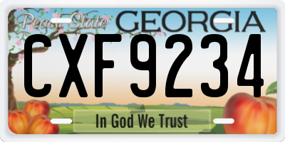 GA license plate CXF9234