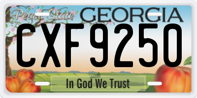 GA license plate CXF9250