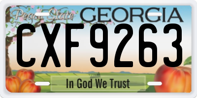 GA license plate CXF9263