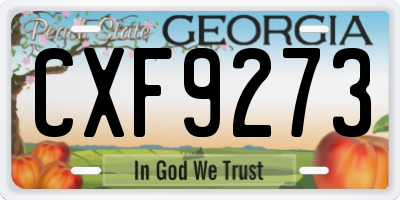 GA license plate CXF9273