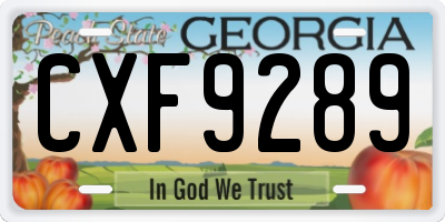 GA license plate CXF9289