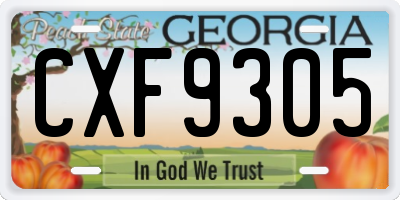 GA license plate CXF9305