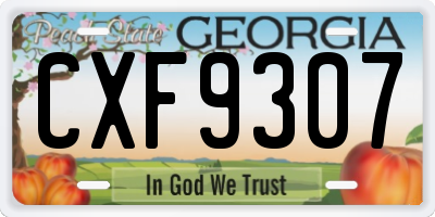 GA license plate CXF9307