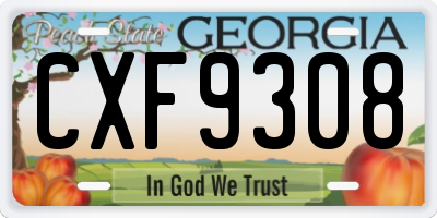 GA license plate CXF9308