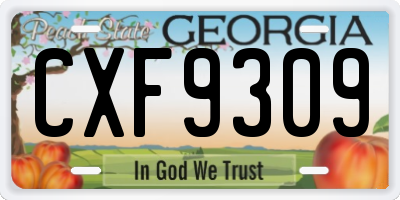 GA license plate CXF9309