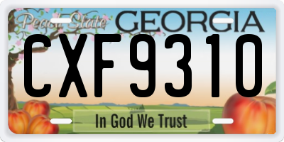 GA license plate CXF9310