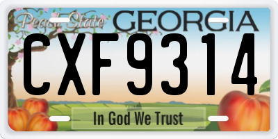 GA license plate CXF9314