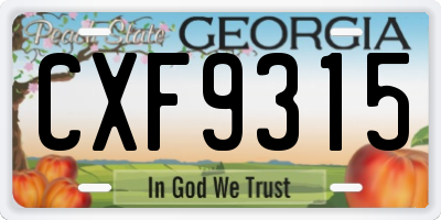 GA license plate CXF9315