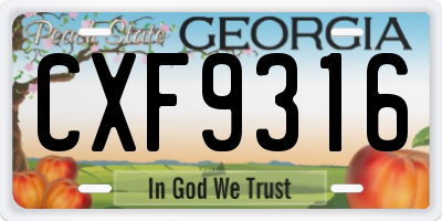 GA license plate CXF9316