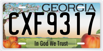 GA license plate CXF9317