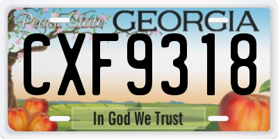 GA license plate CXF9318