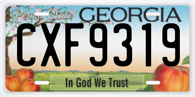 GA license plate CXF9319