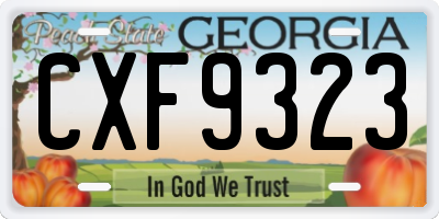 GA license plate CXF9323
