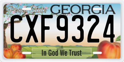 GA license plate CXF9324