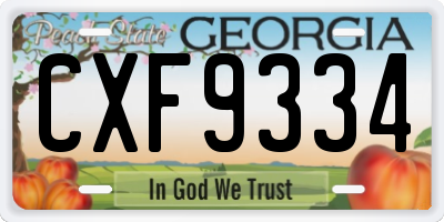 GA license plate CXF9334