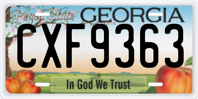GA license plate CXF9363